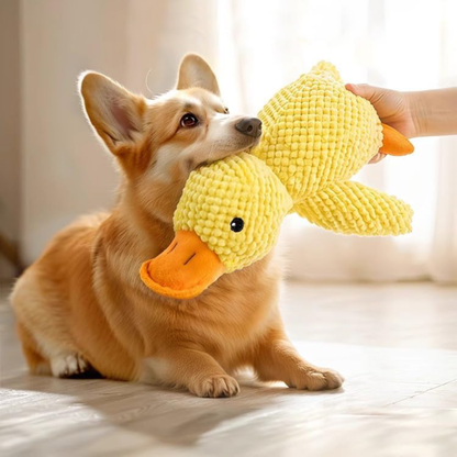 Calming Duck by HushPaw